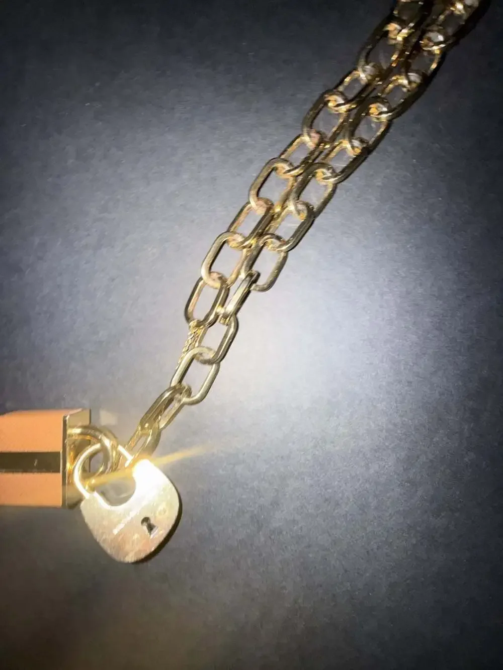 Michael Kors Padlock Charm Chain Link Bracelet in Gold-Tone